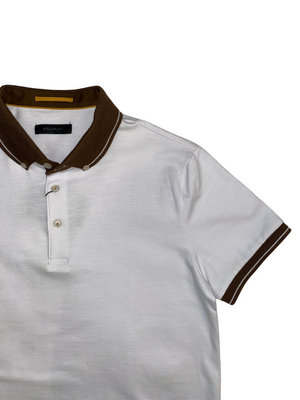 White Polo with Brown Collar