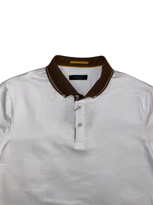 White Polo with Brown Collar